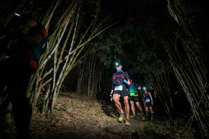 BIB: 
                            <button type="button" onclick="openModal(19394054)" class="btn btn-primary btn-sm float-right btn-popup" data-toggle="modal" data-target=".modal-high-quality">
                        <i class="fas fa-shopping-cart"></i> Add to Cart
                    </button>
                                            <button type="button" onclick="isThisMe(19394054, true)" class="btn btn-success btn-sm float-right btn-popup btn-isme hidden" data-toggle="tooltip" data-placement="bottom" title="นี่คือรูปของคุณใช่ไหม คลิกที่นี่เพื่อเอาเข้าอัลบั้ม">
                        <i class="fas fa-plus"></i> Add to album
                    </button>
                    <button type="button" onclick="isThisMe(19394054, false)" class="btn btn-warning btn-sm float-right btn-popup btn-isnotme hidden">
                        <i class="fas fa-ban"></i> Remove from album
                    </button>